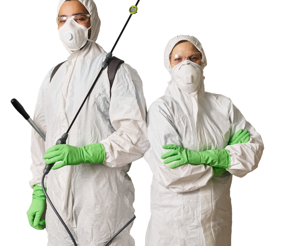 cleaning workers disinfecting apartment in team 2025 05 07 20 25 13 utc 1 2 scaled rq7kr9twyq6je2ulnh1jds920y7qyc8o645h4jkeiw
